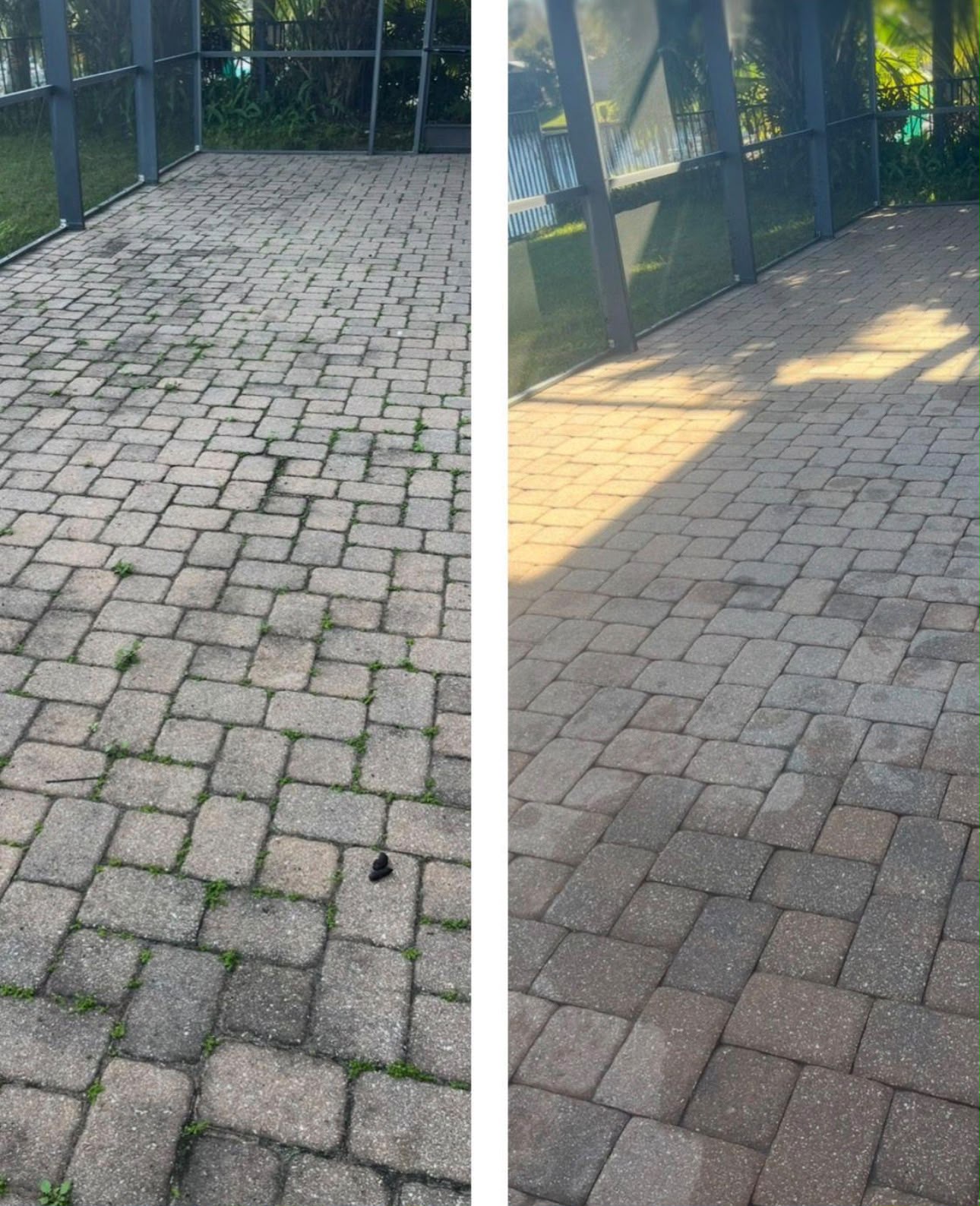 Sidewalk Cleaning before and after